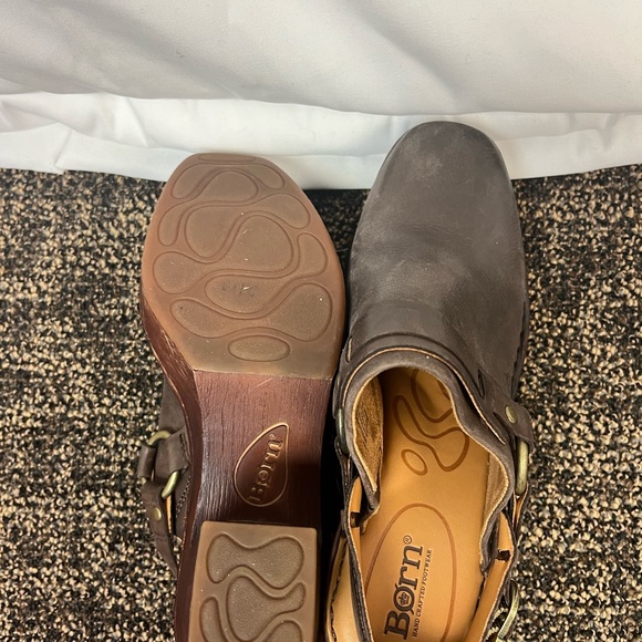 Born mules - Picture 6 of 7